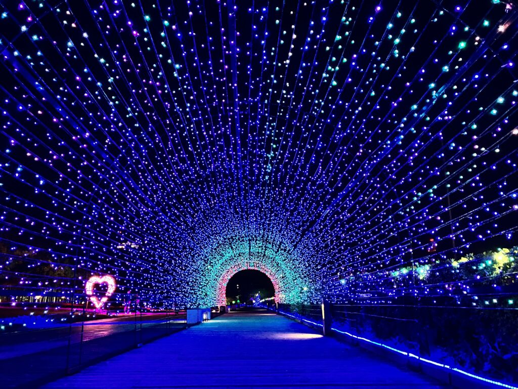 朱鷺メッセ 万代島 光の架け橋2026-2