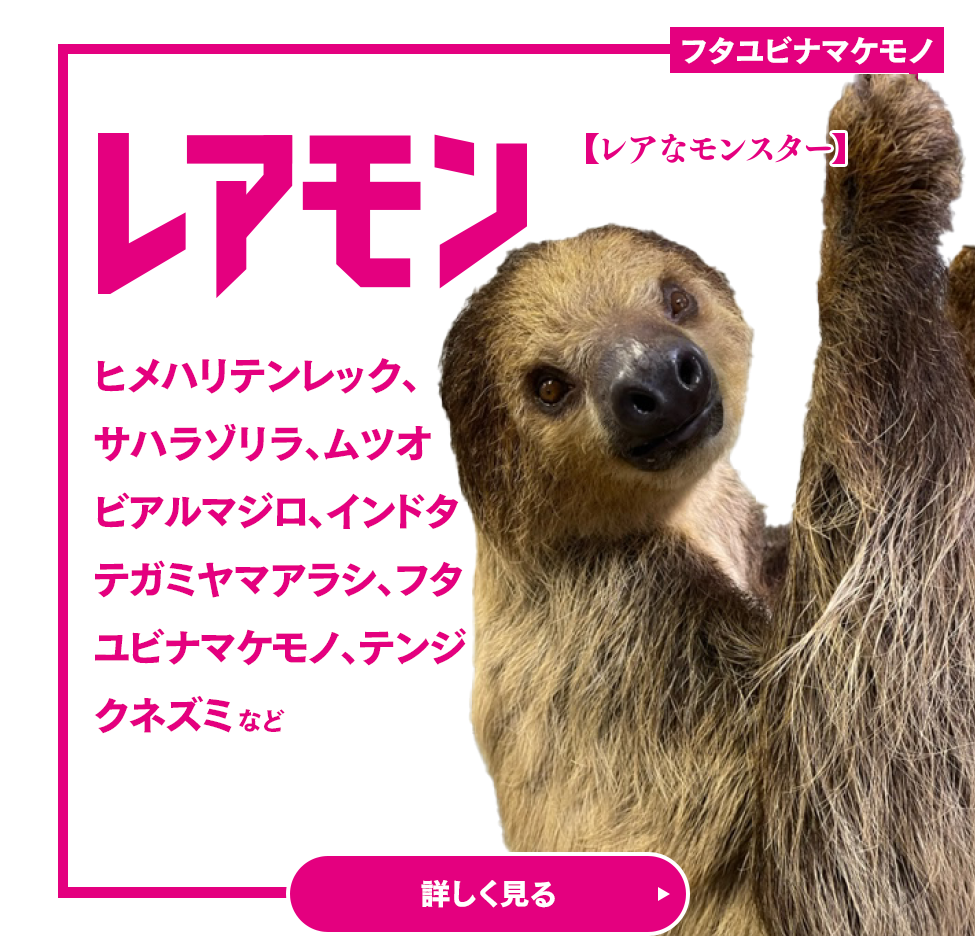 レアモン レアなモンスター