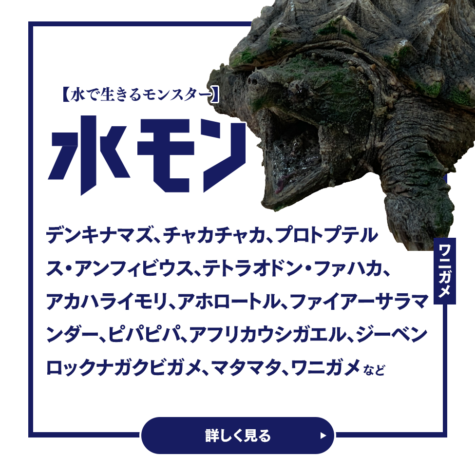 水モン 水で生きるモンスター