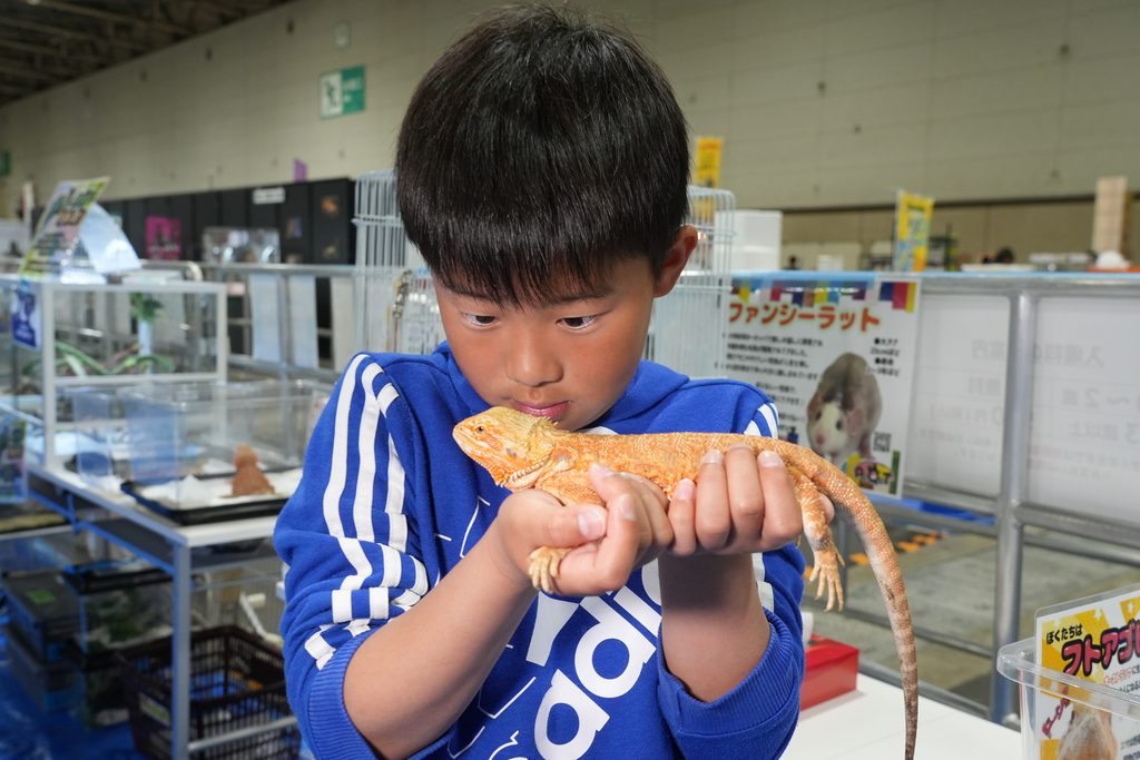 20261024　朱鷺メッセ 新潟レプタイルズワールド-6